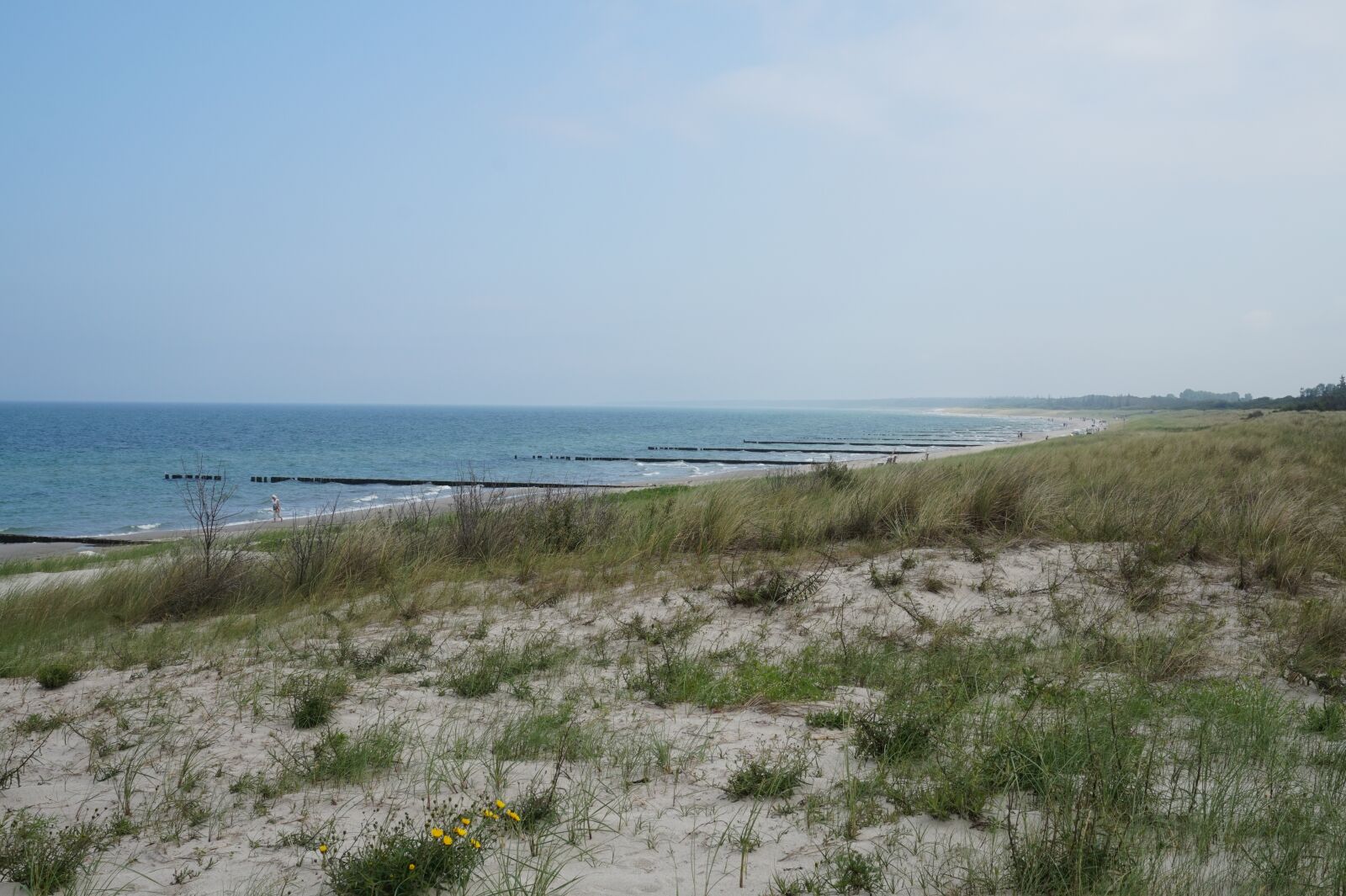Sony Alpha a5000 (ILCE 5000) sample photo. Dune, sand, beach photography
