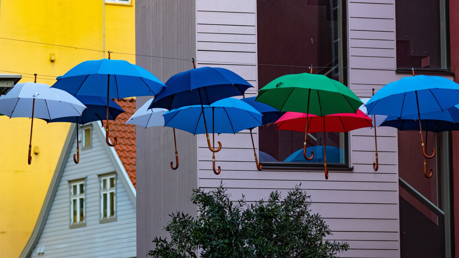 Canon EOS 80D sample photo. House, umbrellas, colorful photography