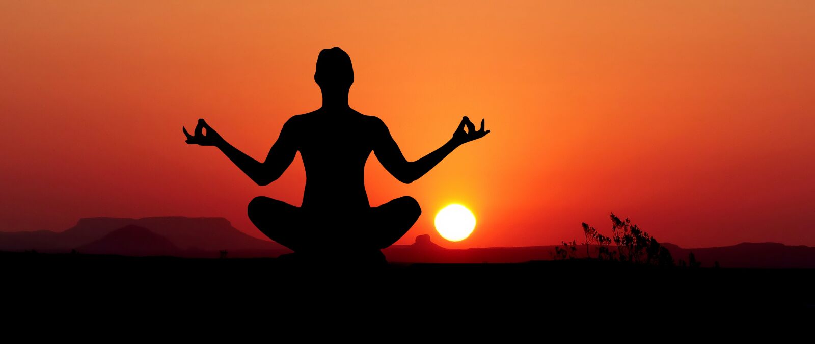 Panasonic Lumix DMC-FZ200 sample photo. Sunset, yoga, zen photography