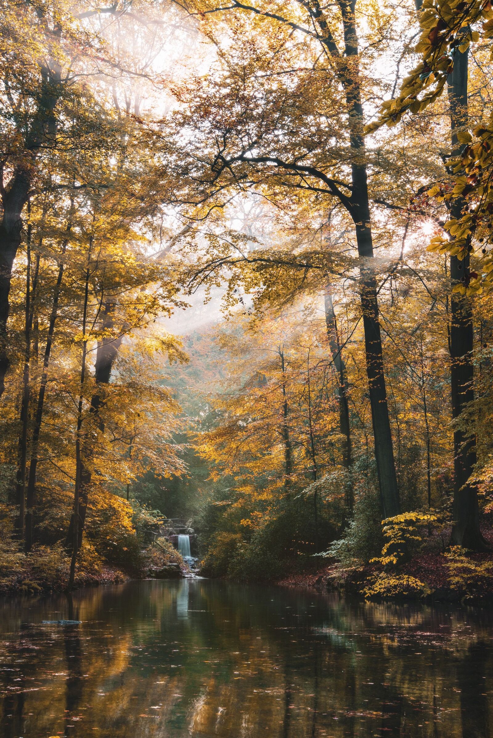 Nikon D750 sample photo. Lake, landscape, color photography