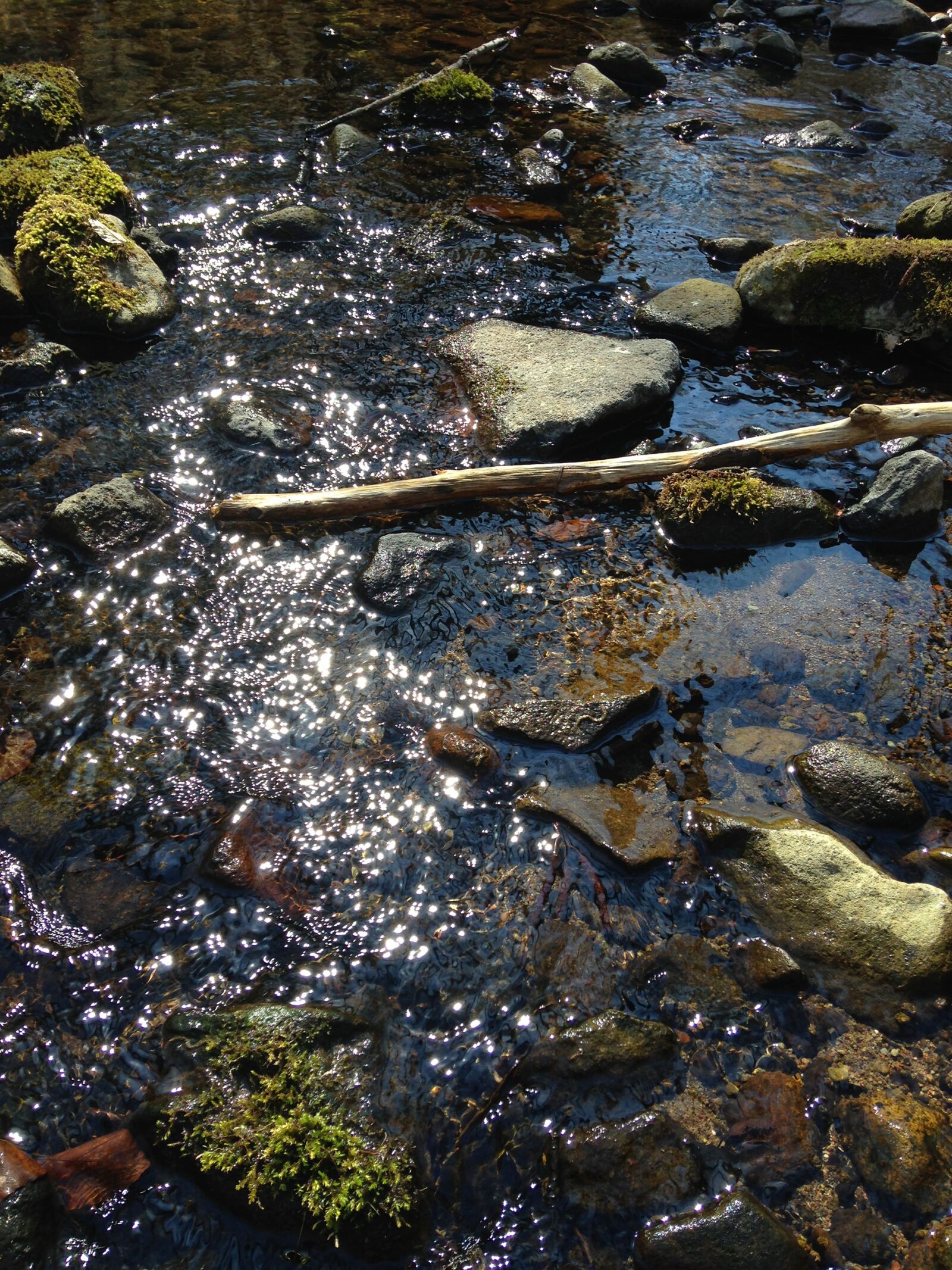 iPhone 5c back camera 4.12mm f/2.4 sample photo. Nature, photo, water photography