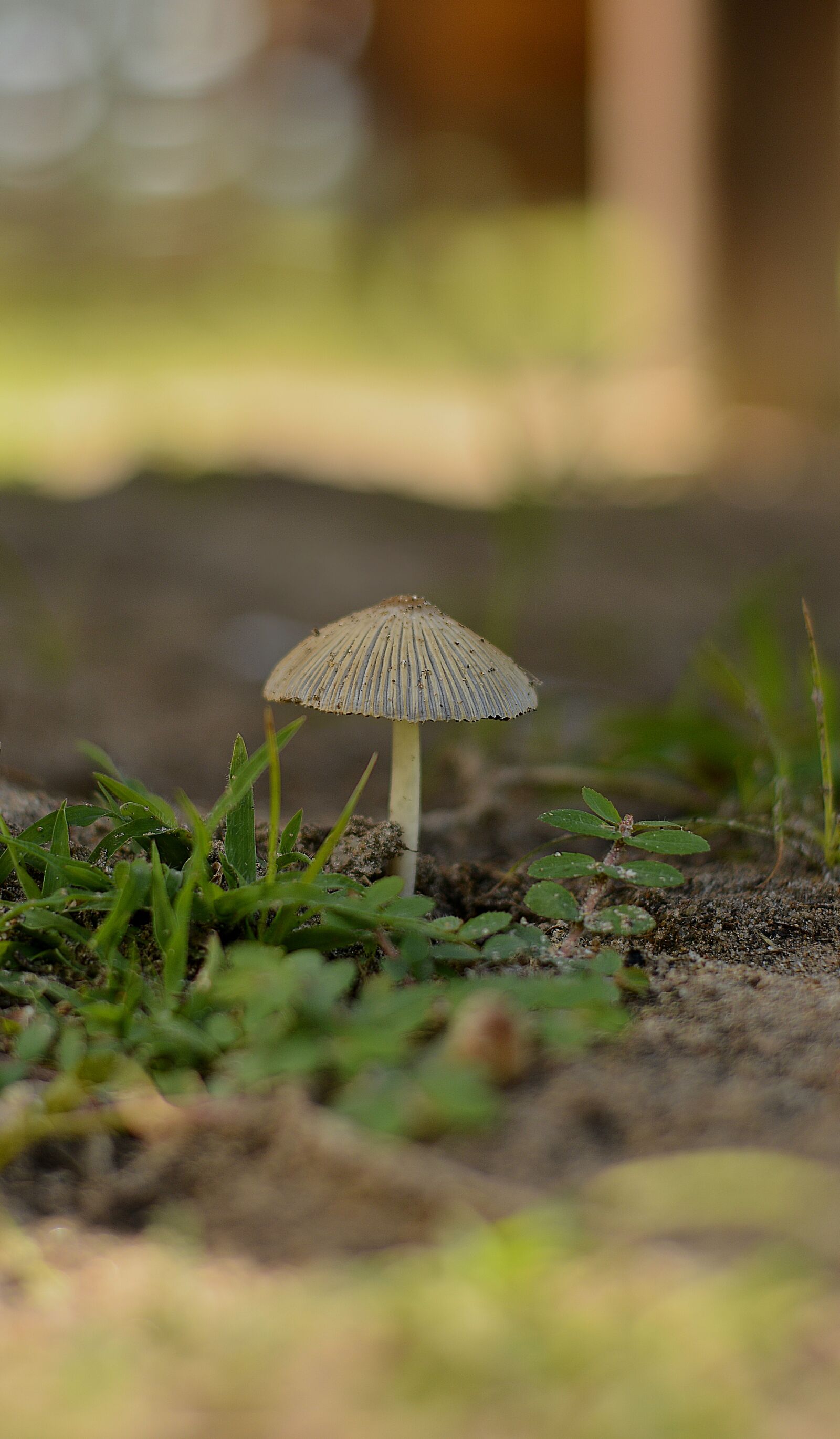 Nikon D5200 sample photo