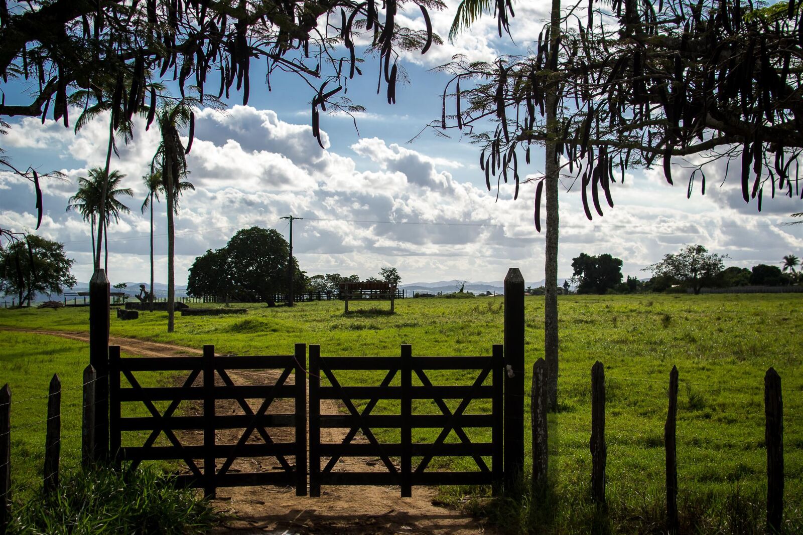 Nikon D3100 sample photo. 35mm, bahia, countryside, farm photography