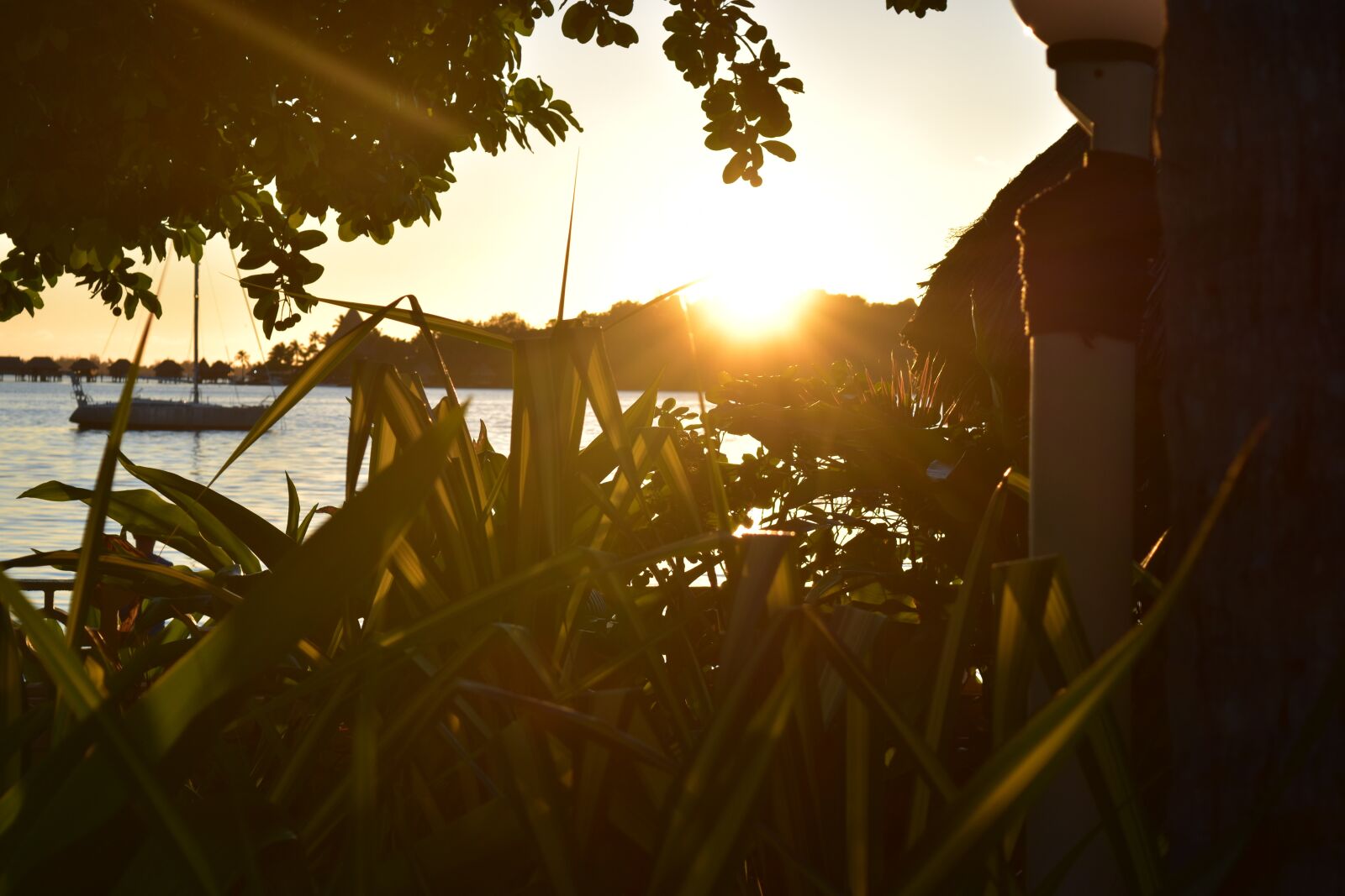Nikon D5500 sample photo. Bora, sun, tahiti photography