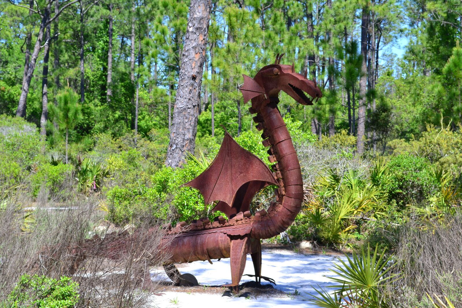 Nikon D3100 sample photo. Florida, nature, dragon photography