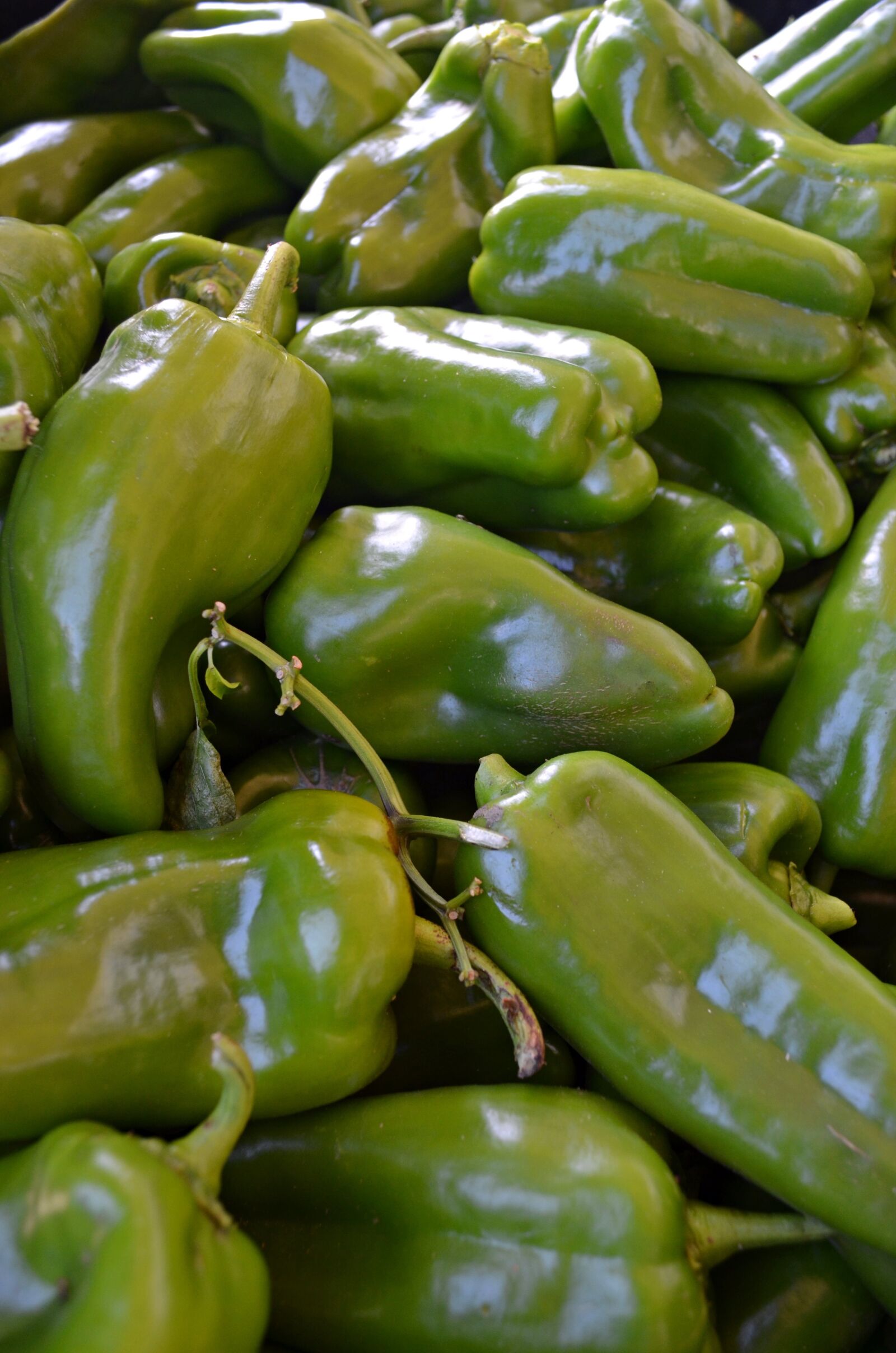 Nikon D5100 sample photo. Pepper, vegetables, green photography