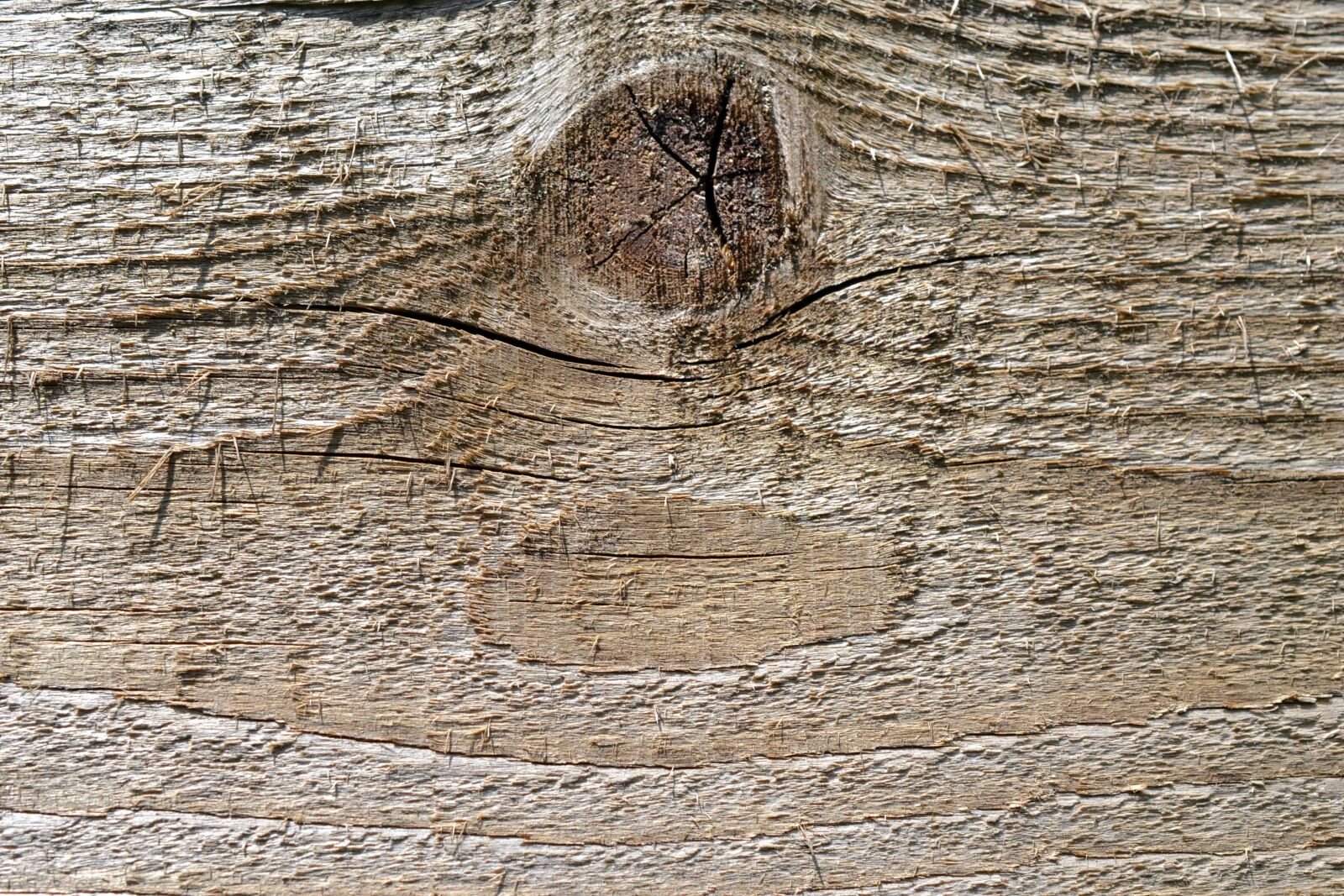 Nikon AF-S DX Micro Nikkor 40mm F2.8 sample photo. Wood knot, detail, design photography