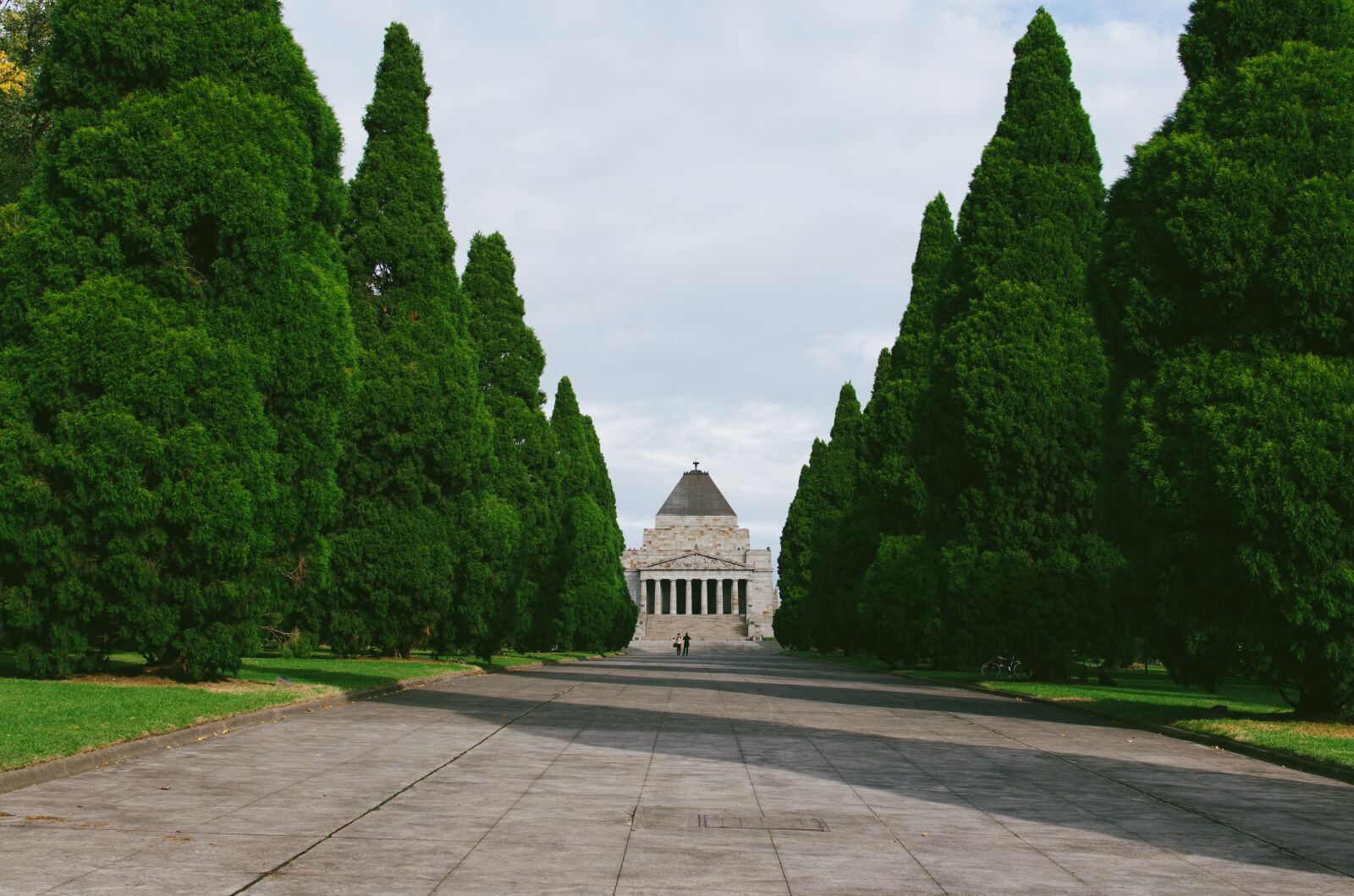 Nikon D5100 sample photo. Trees, green, grass photography
