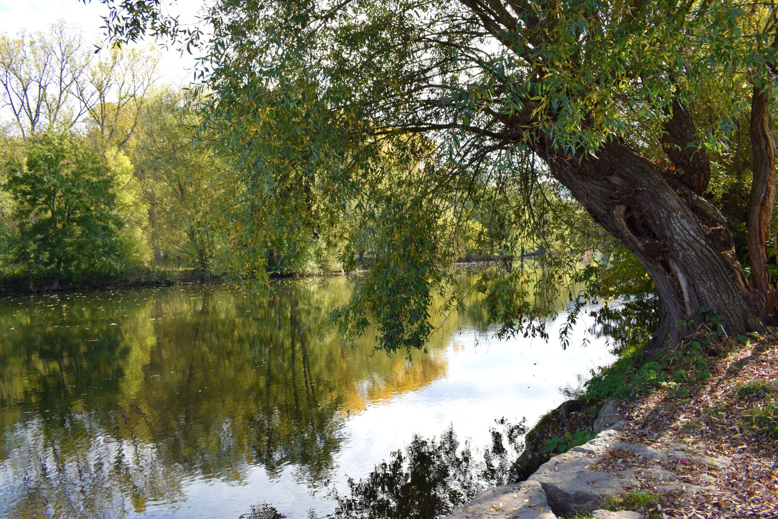 Nikon D5300 sample photo. Nature, river, bank photography