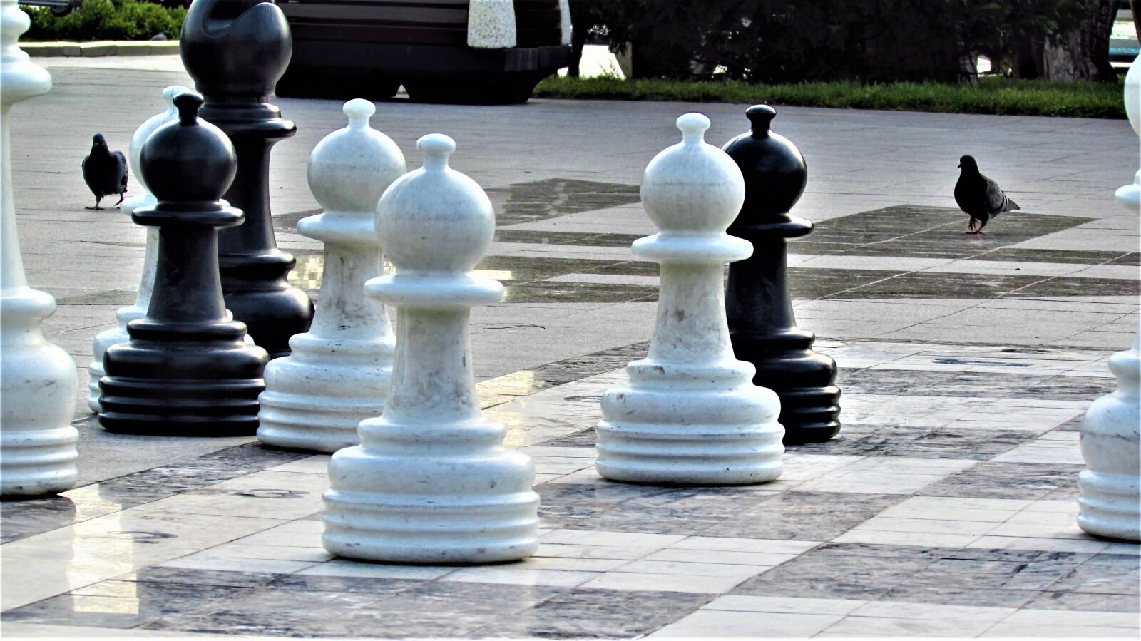 Canon PowerShot SX510 HS sample photo. Chess, pawn, plan photography