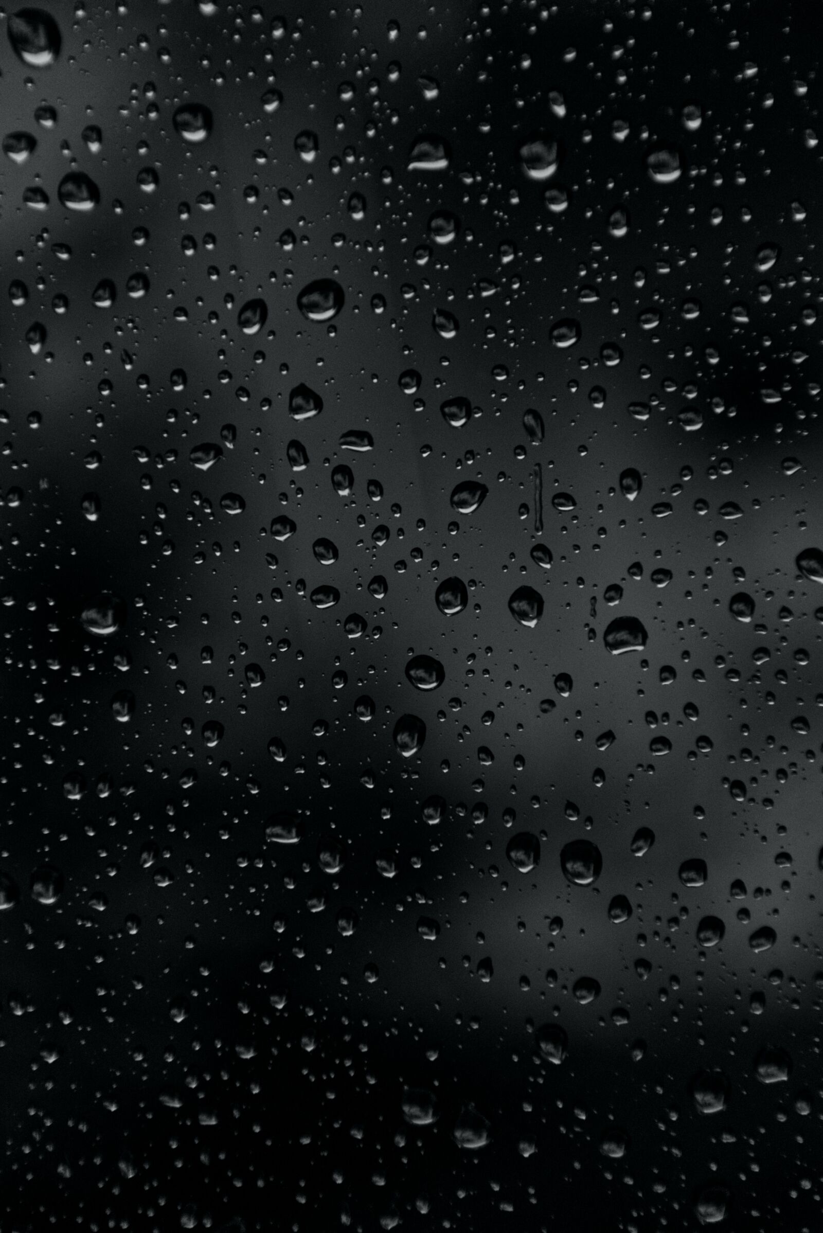 Nikon D5300 sample photo. Rain, drip, wet photography