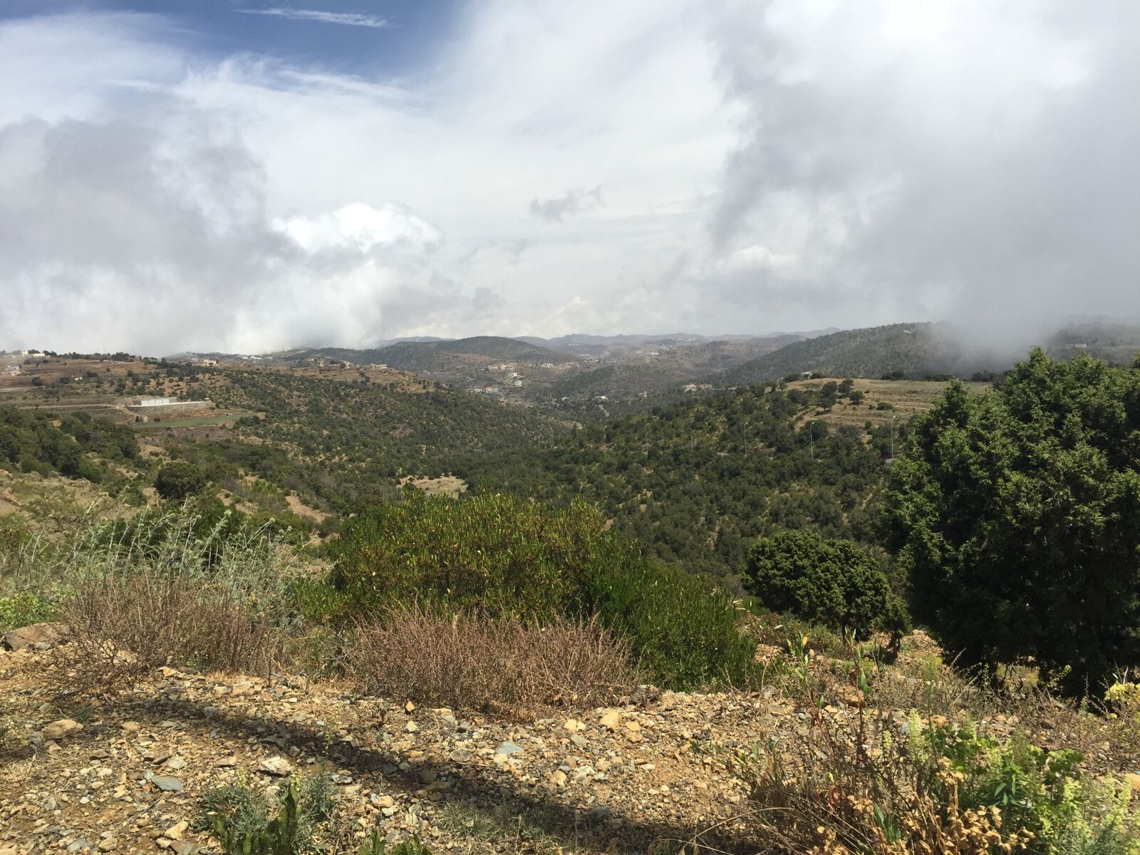 iPhone 6 back camera 4.15mm f/2.2 sample photo. Aseer, abha, souda photography