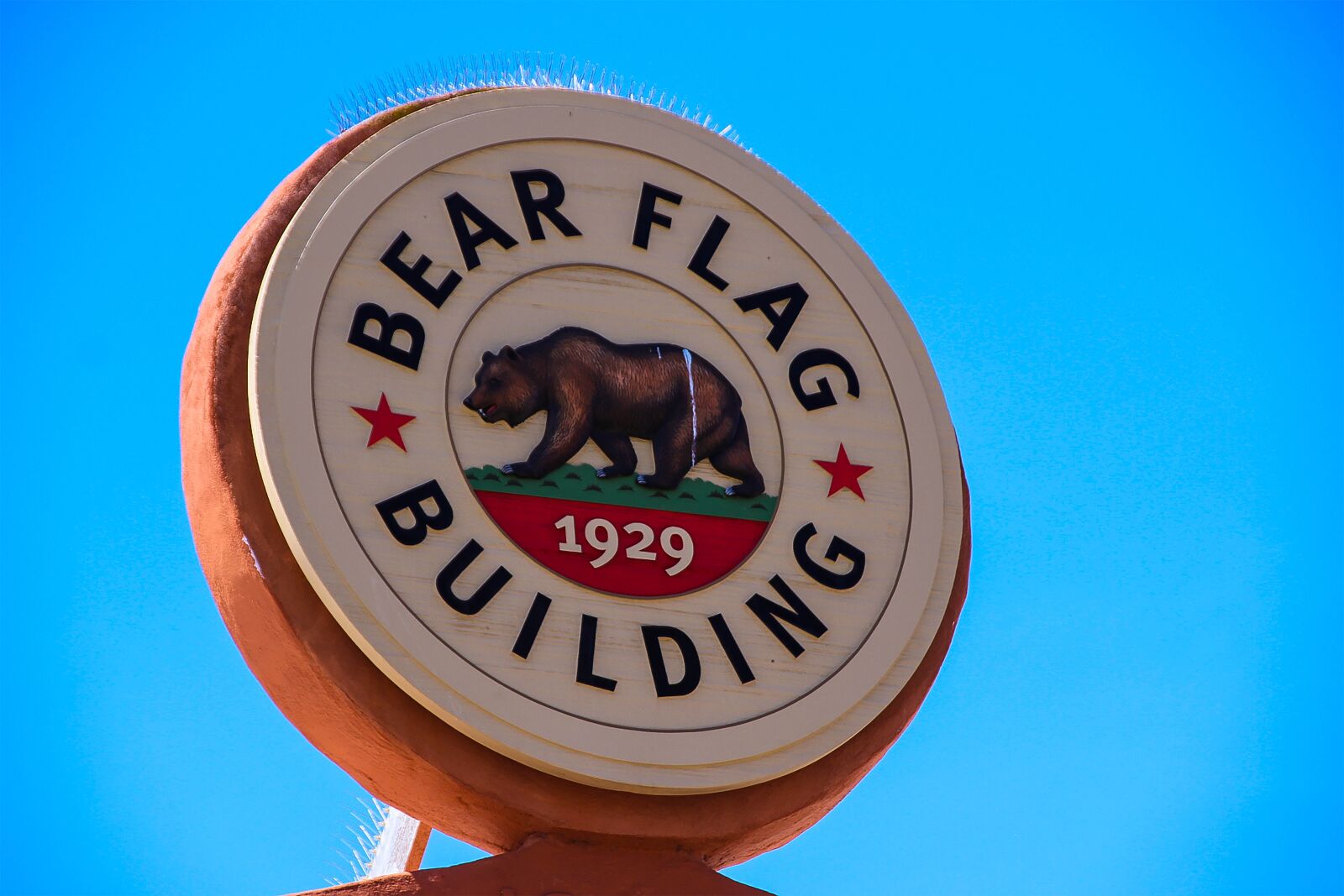Canon EOS 600D (Rebel EOS T3i / EOS Kiss X5) sample photo. Bear flag, california, bear photography