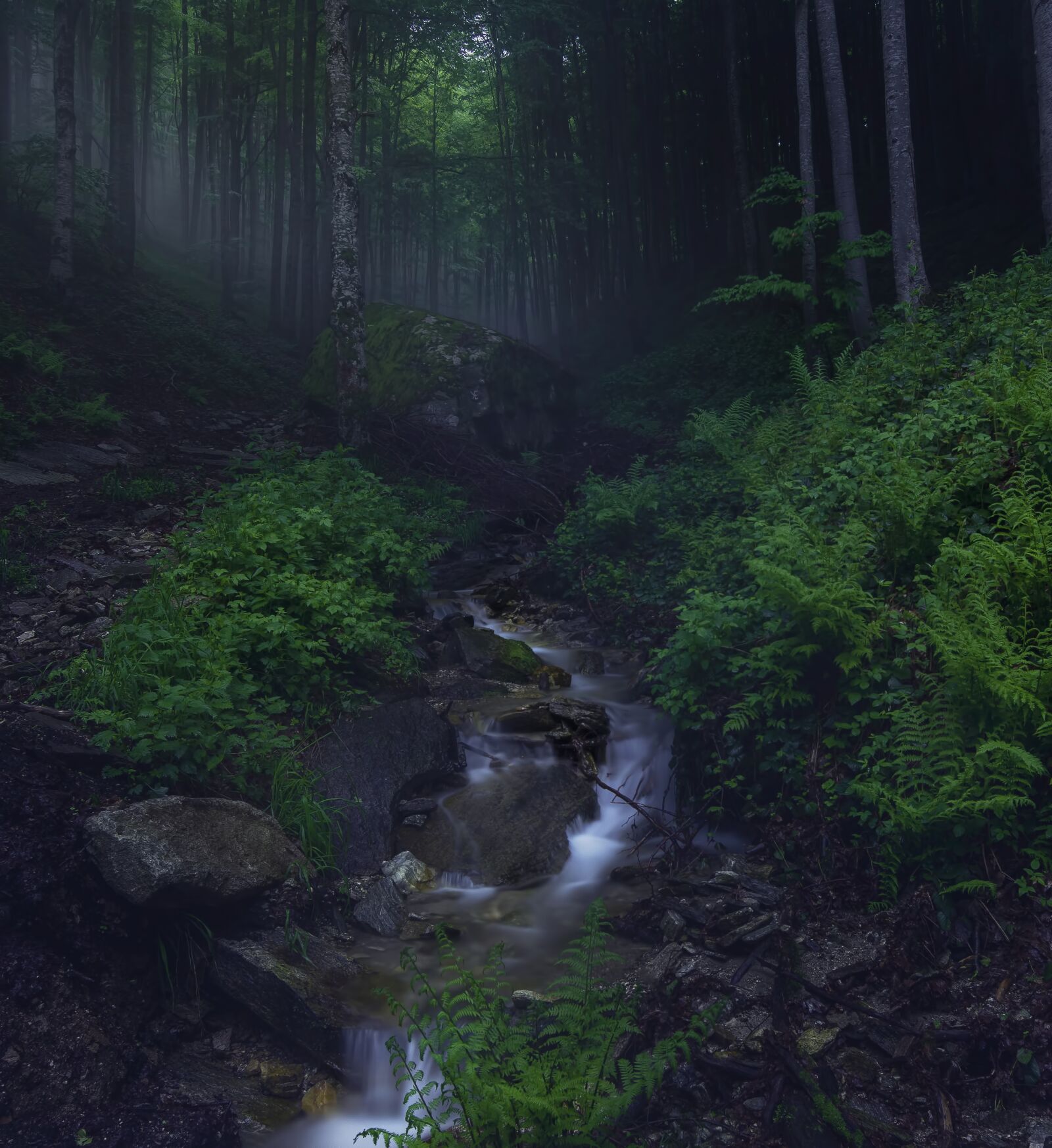 Tokina AT-X Pro 11-16mm F2.8 DX II sample photo. Spring, mountains, nature photography