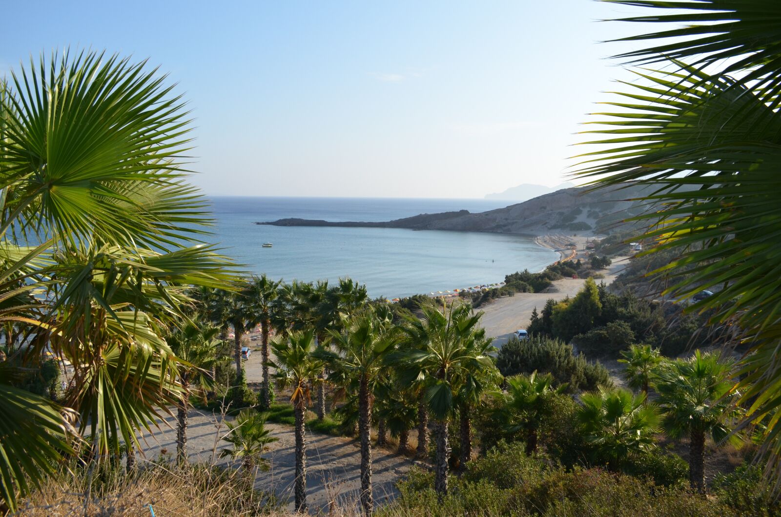 Nikon D5100 sample photo. View, palm trees, beach photography