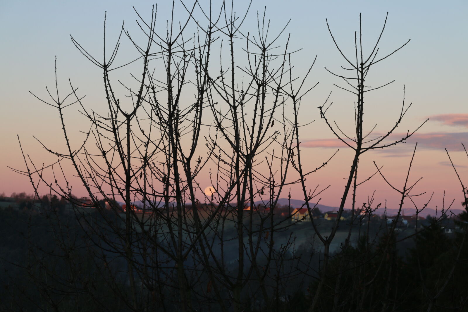 Canon EOS 70D + Canon EF-S 18-55mm F3.5-5.6 IS STM sample photo. Baume, landschaftlich, sonnenuntergang photography