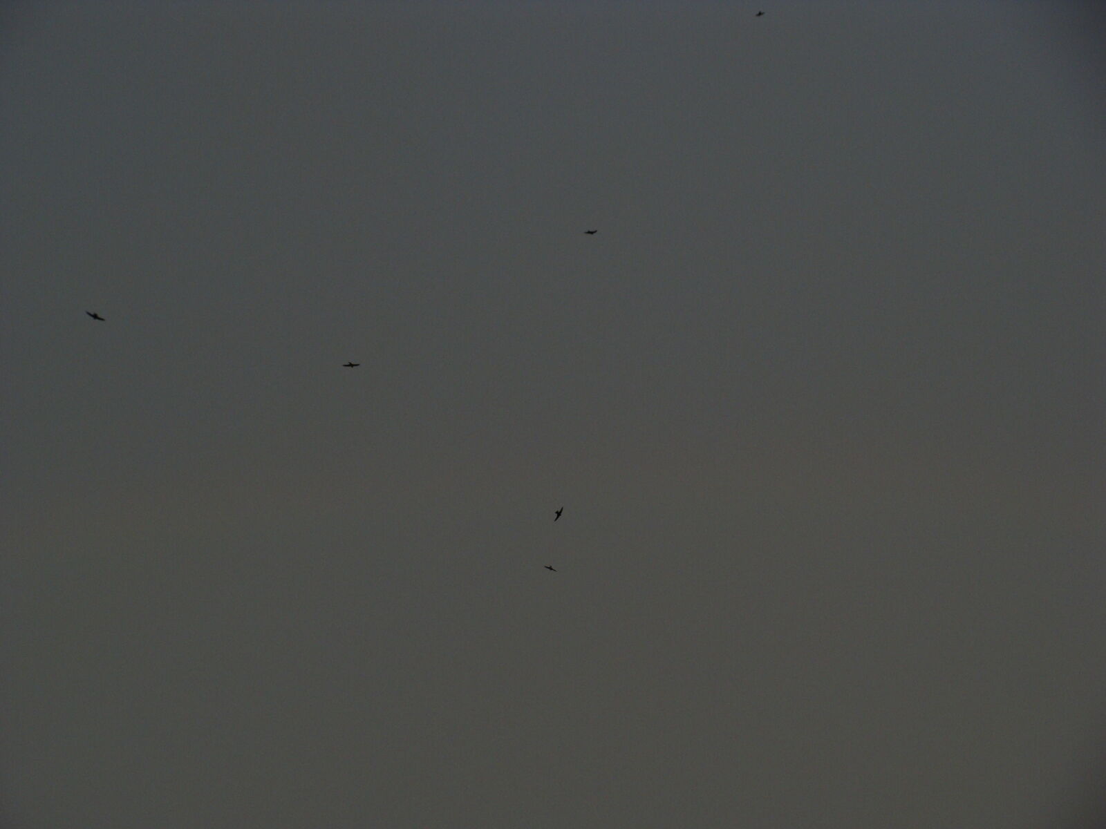 Sony Cyber-shot DSC-H10 sample photo