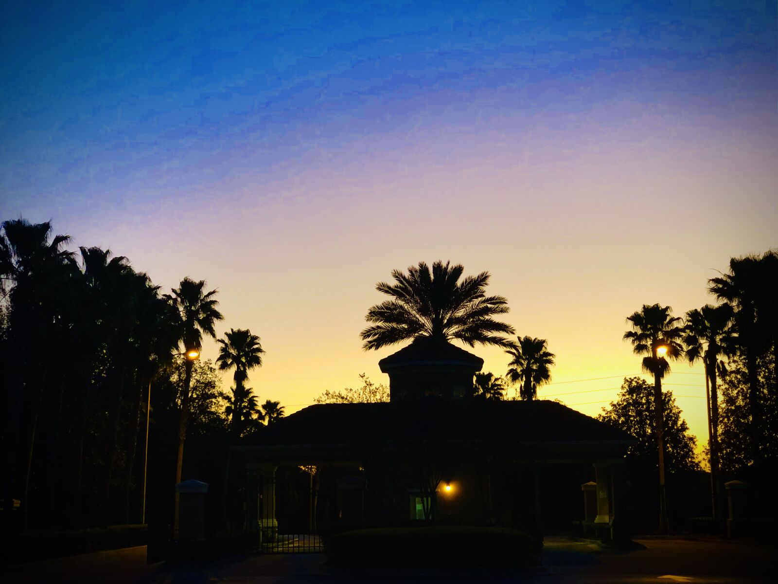 iPhone X back dual camera 6mm f/2.4 sample photo. Sunrise, palm tree, silhouette photography