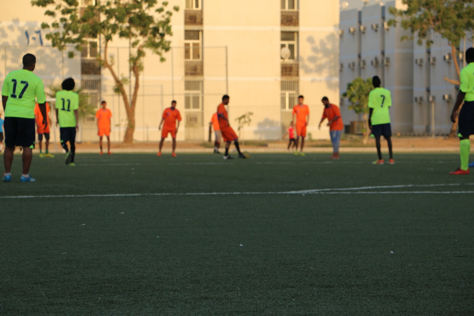 Canon EOS 70D sample photo