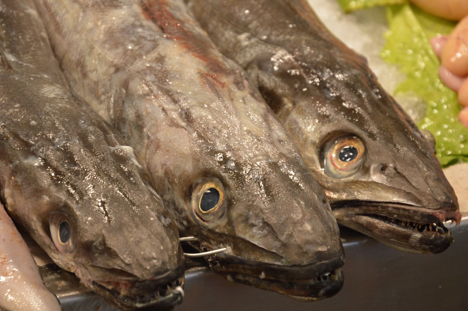 Nikon D3200 sample photo. Fish, market, spain photography