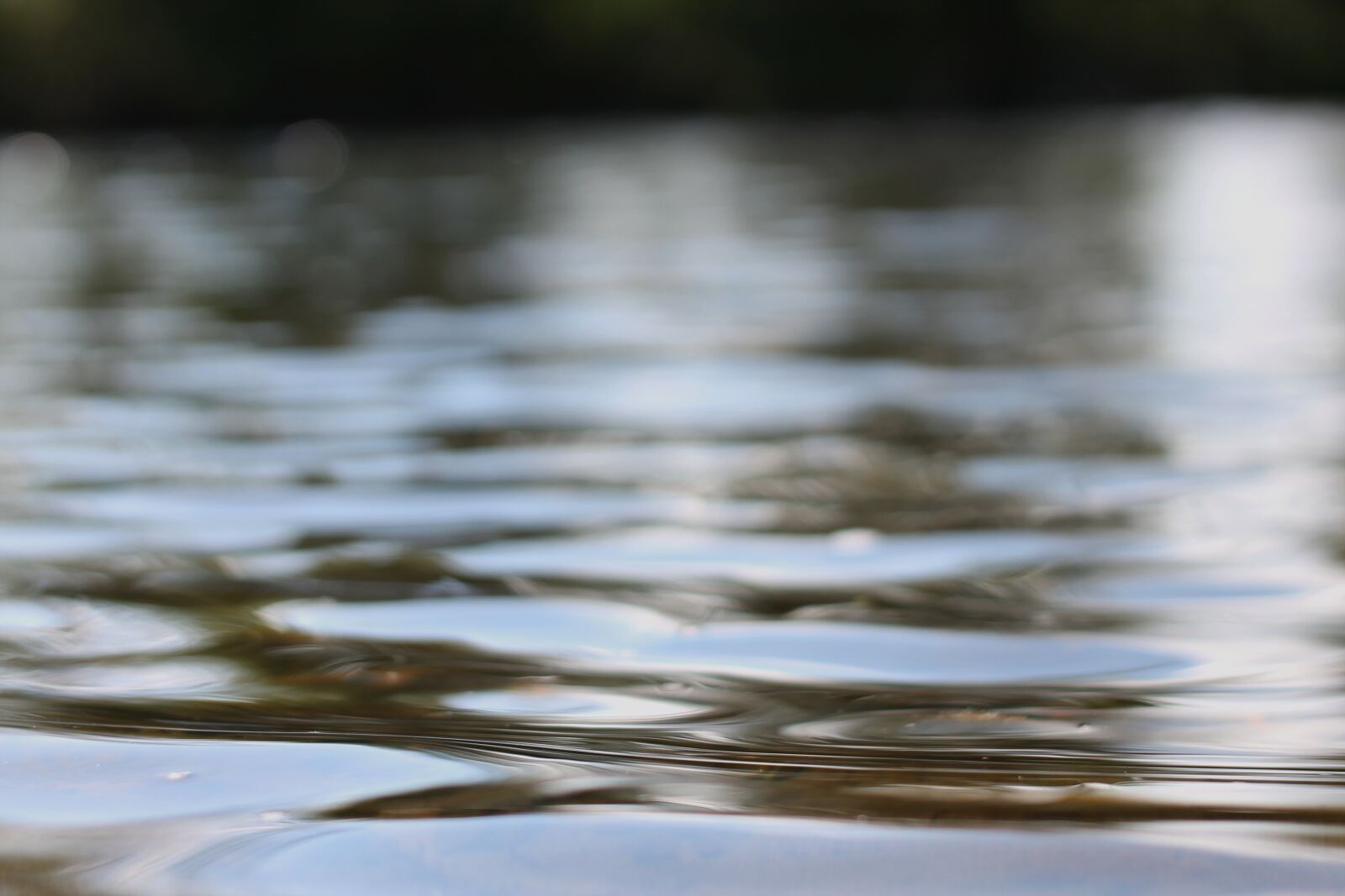 Canon EOS 1100D (EOS Rebel T3 / EOS Kiss X50) sample photo. Water, grass, fresh photography
