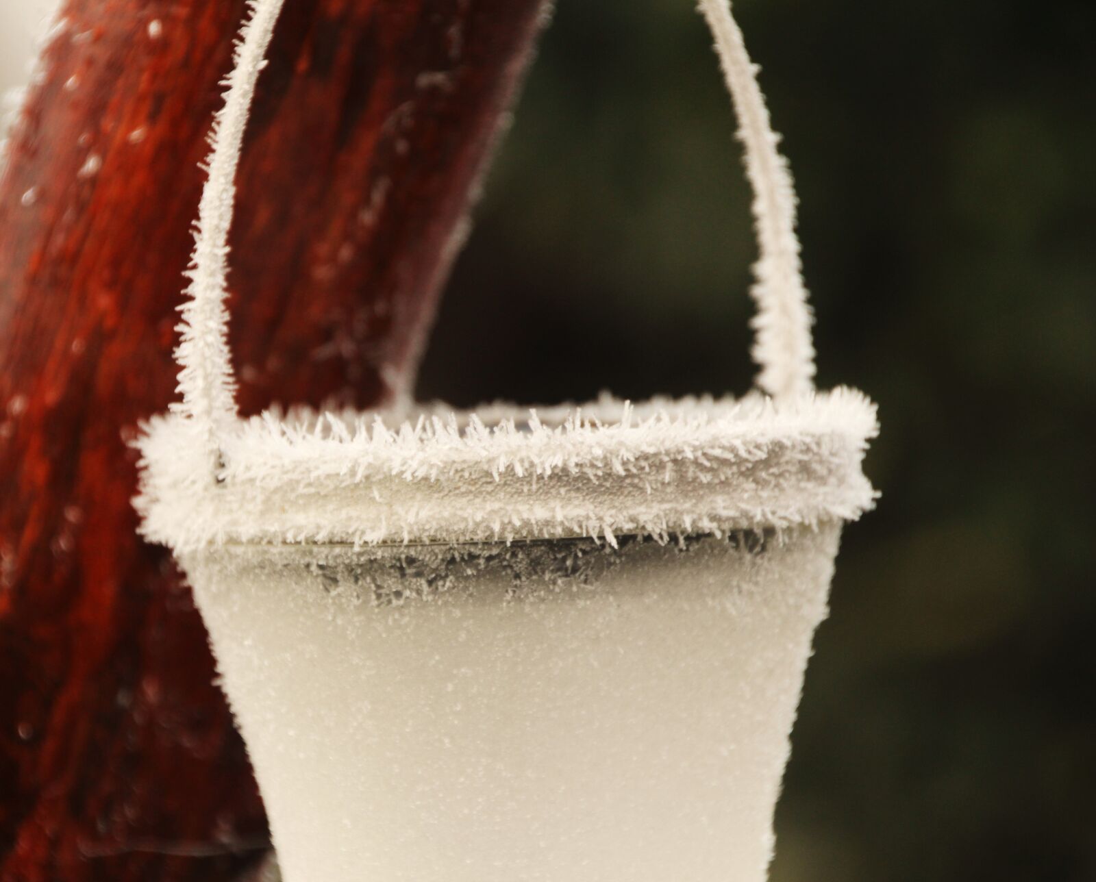 Canon EOS 650D (EOS Rebel T4i / EOS Kiss X6i) sample photo. Frozen, frost, iced photography