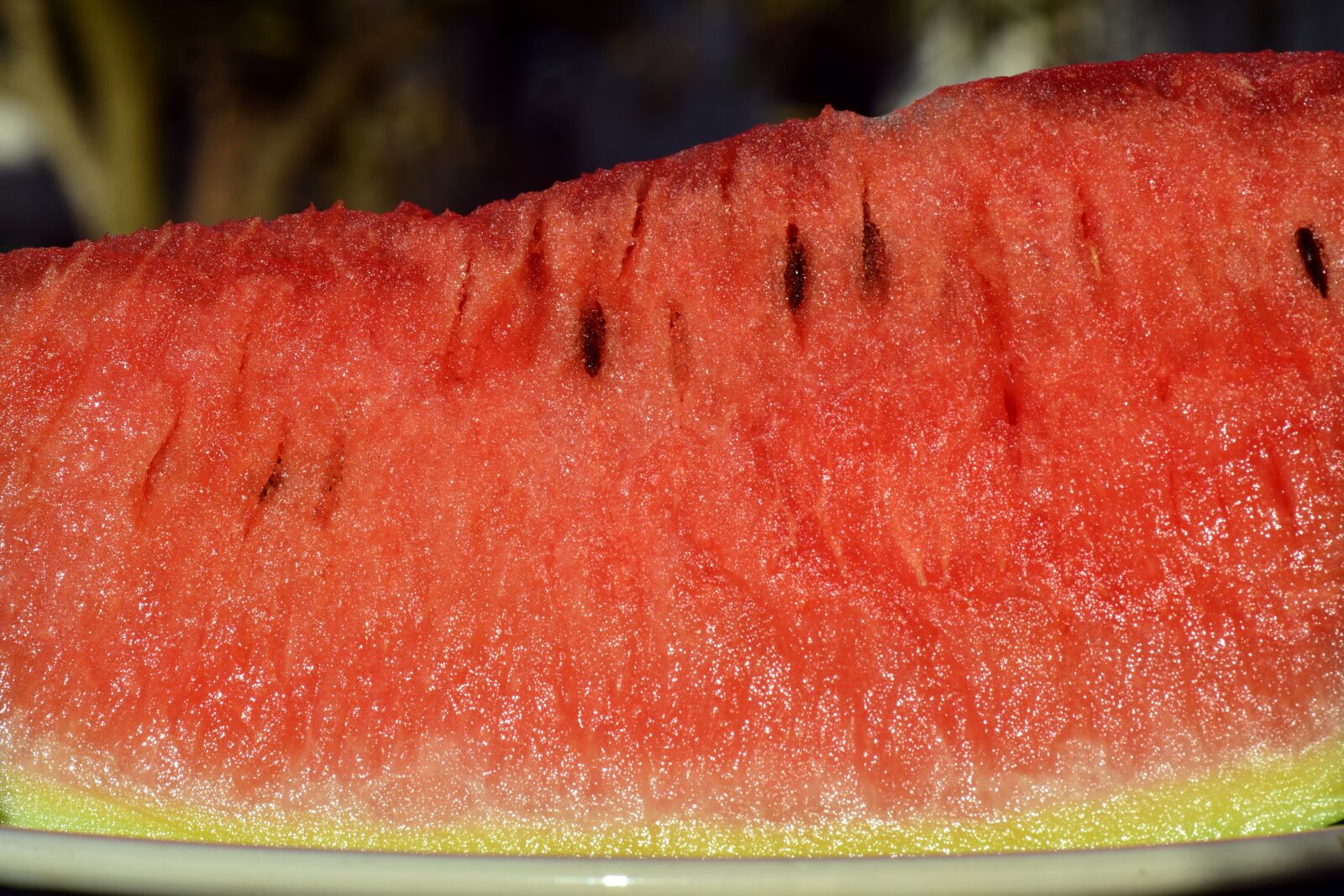 Nikon D3300 sample photo. Melon, watermelon, fruit photography