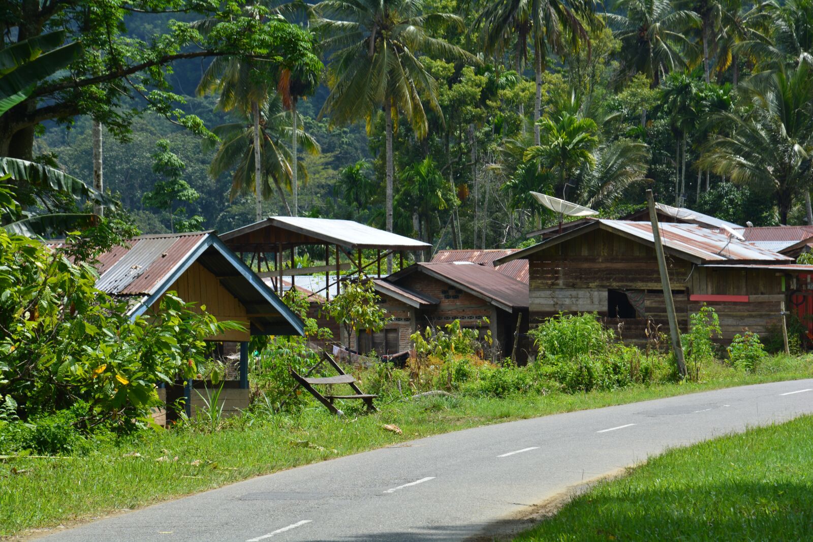 Nikon D5200 sample photo. Indonesia, sumatra, ketambe photography