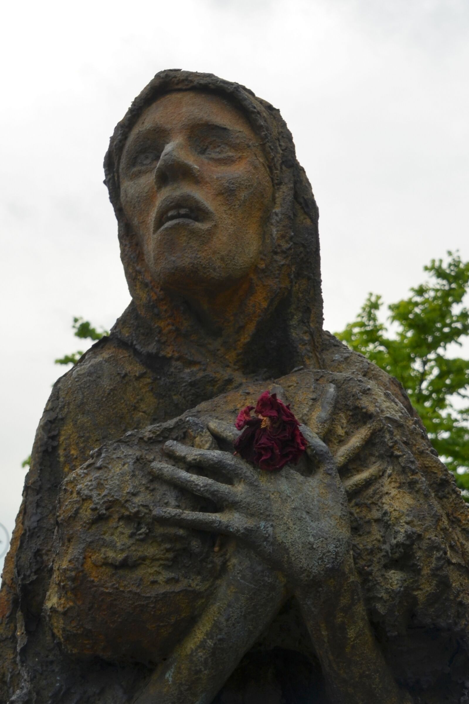 Nikon D5100 sample photo. Suffering, fear, helplessness photography