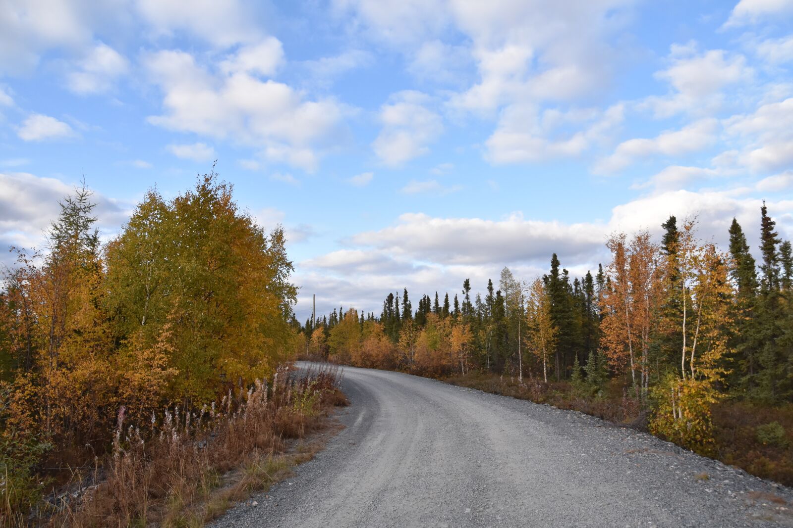 Nikon D7200 sample photo. Road, wood, natural photography