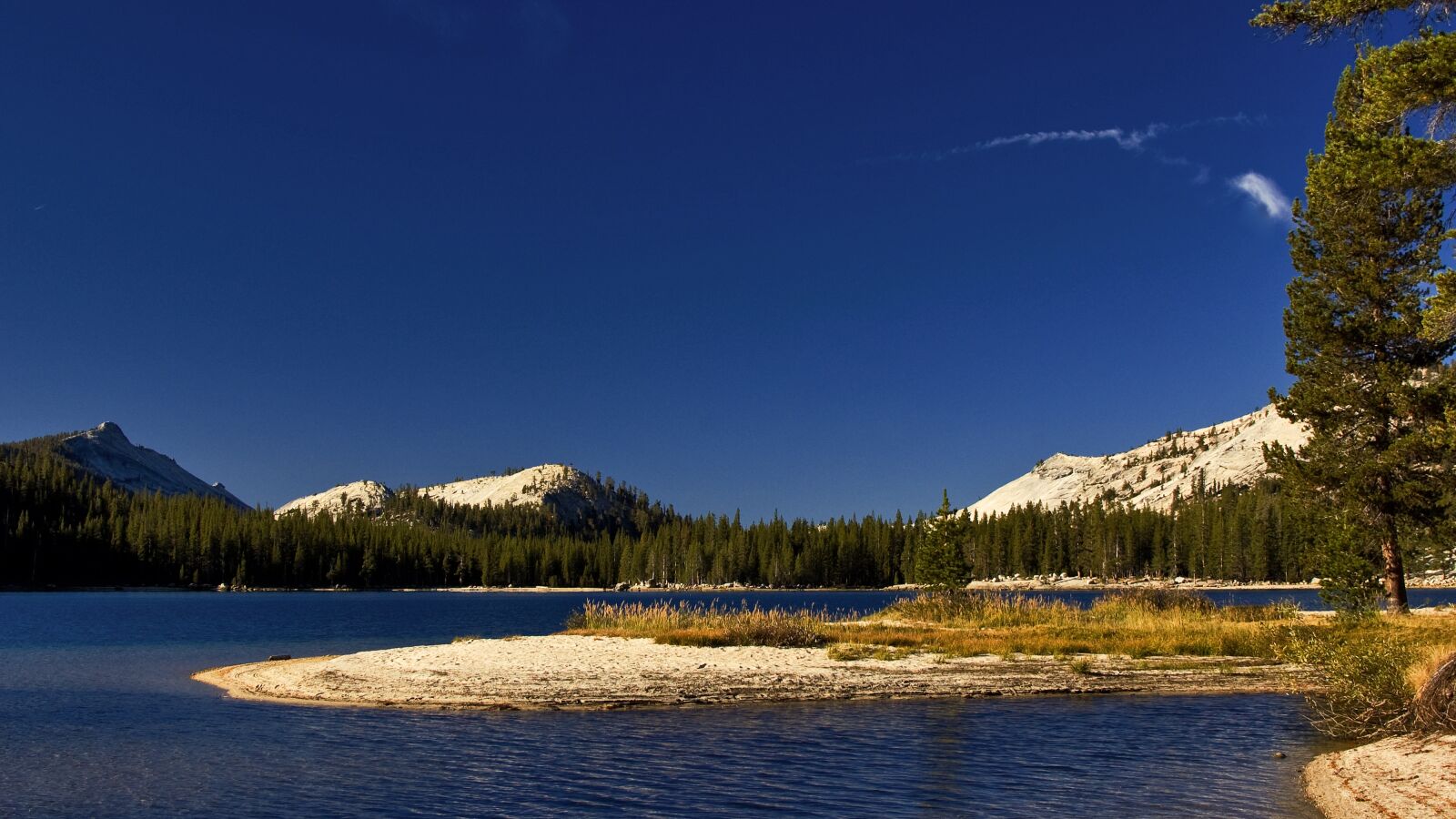 Nikon D50 sample photo. Yosemite, national park, california photography