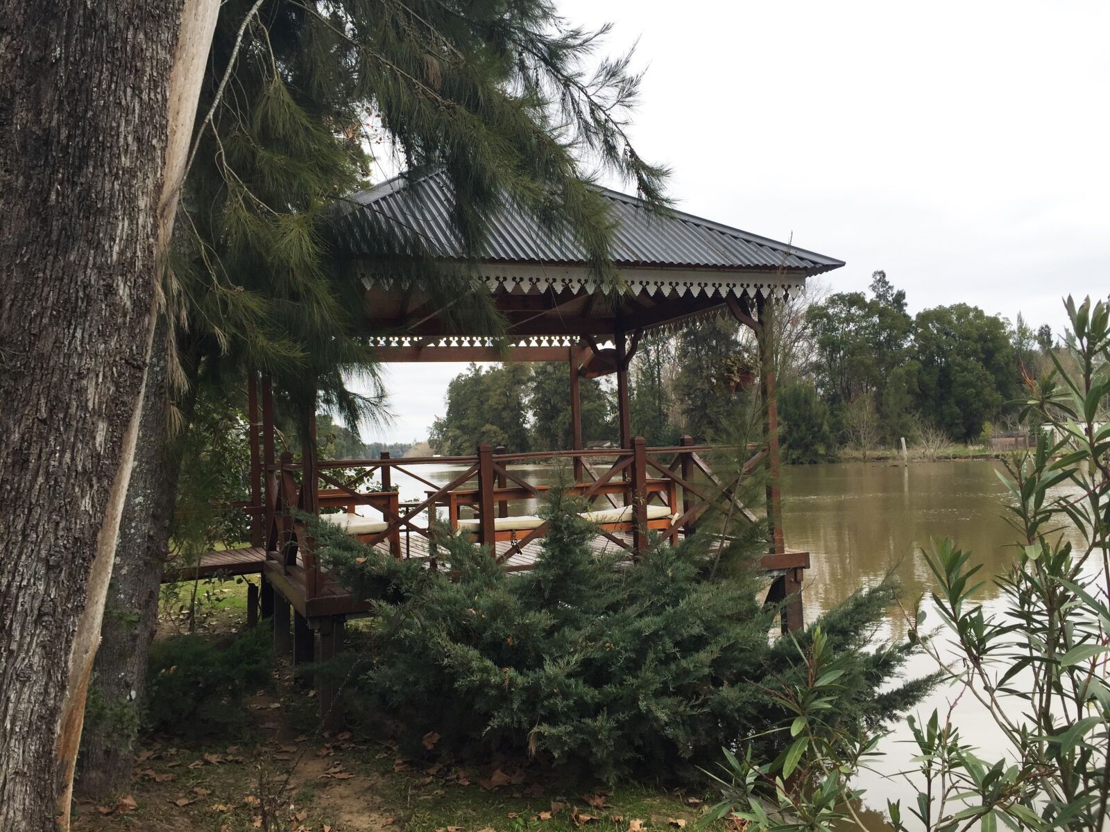 iPhone 6 back camera 4.15mm f/2.2 sample photo. Tiger, delta, argentina photography