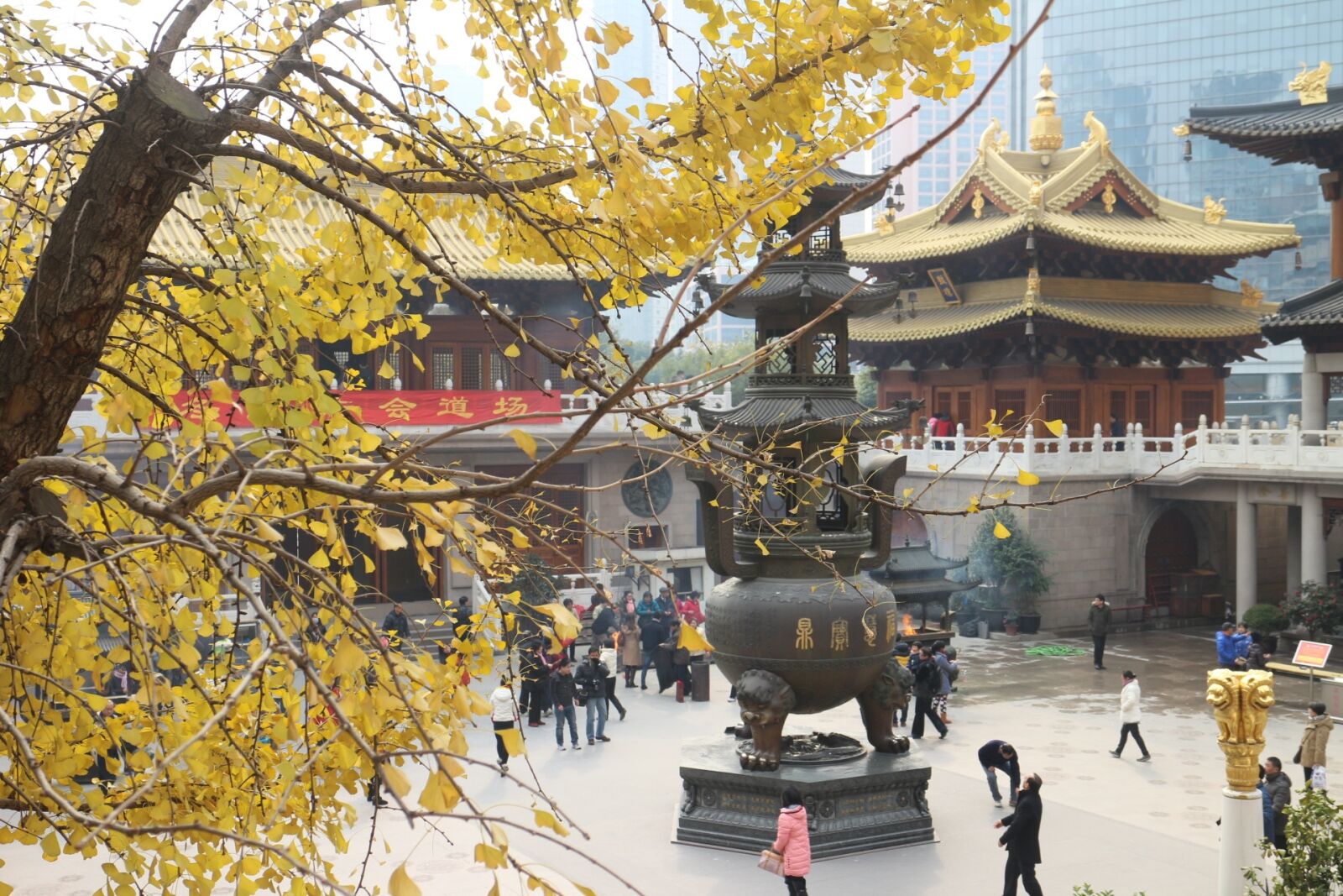 Canon EOS M sample photo. Leaves, china, leaf photography