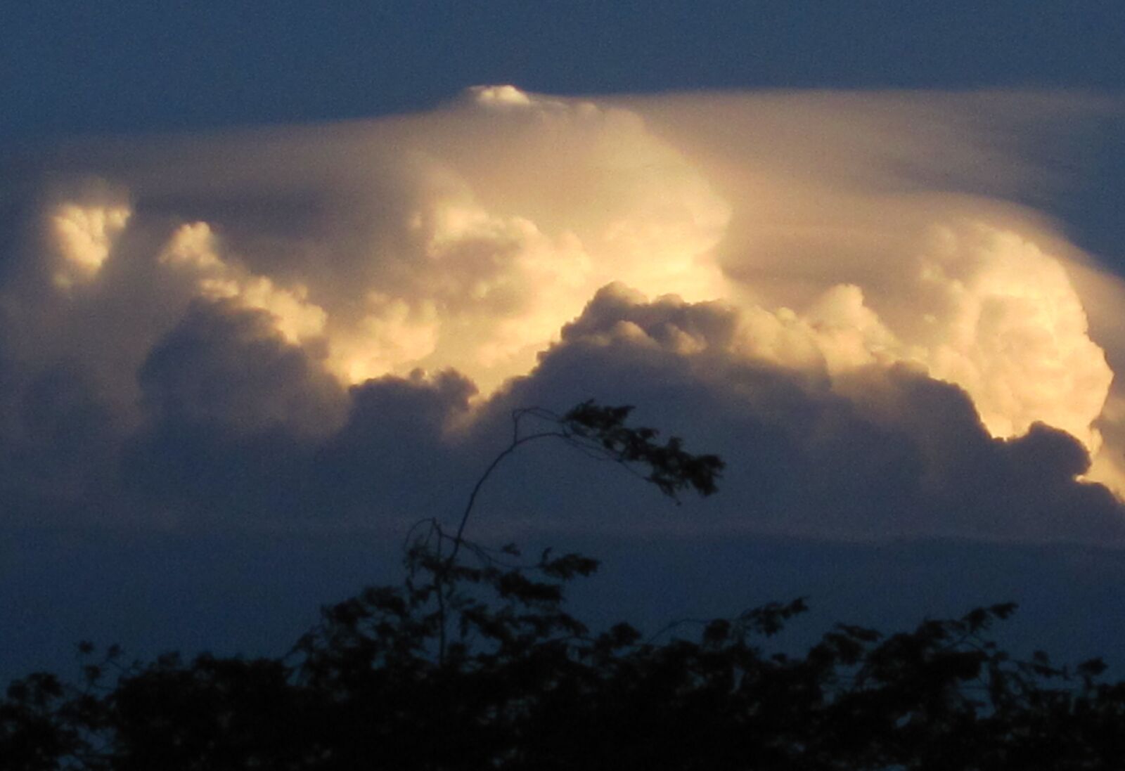 Canon PowerShot SD1200 IS (Digital IXUS 95 IS / IXY Digital 110 IS) sample photo. Clouds, solid, cumulus photography
