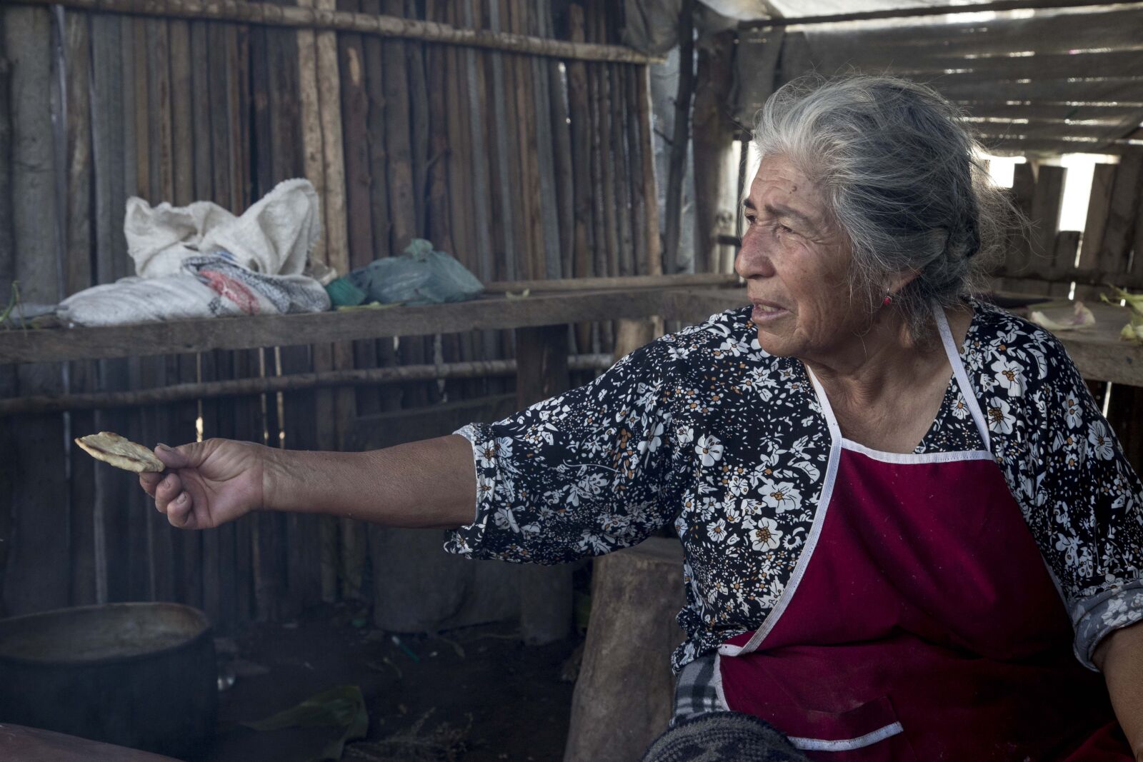 Canon EOS 6D Mark II + Canon EF 24-105mm F4L IS USM sample photo. Grandmother, madam, mother photography