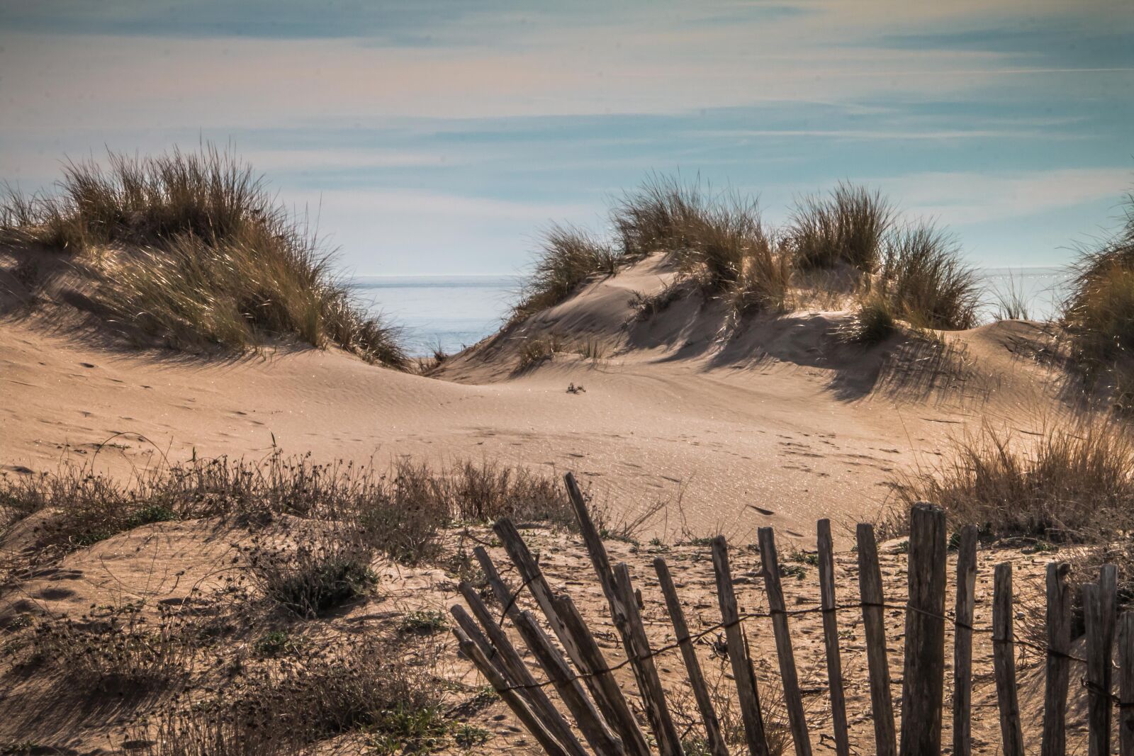 Canon EOS 70D sample photo. Sea, dune, dunes photography