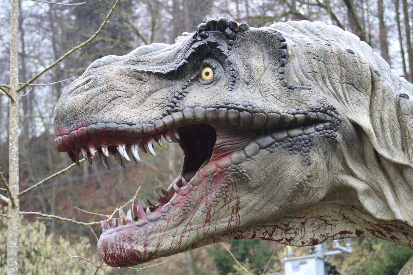 Canon EOS 2000D (EOS Rebel T7 / EOS Kiss X90 / EOS 1500D) sample photo. Dino, dinosaur, prehistoric times photography