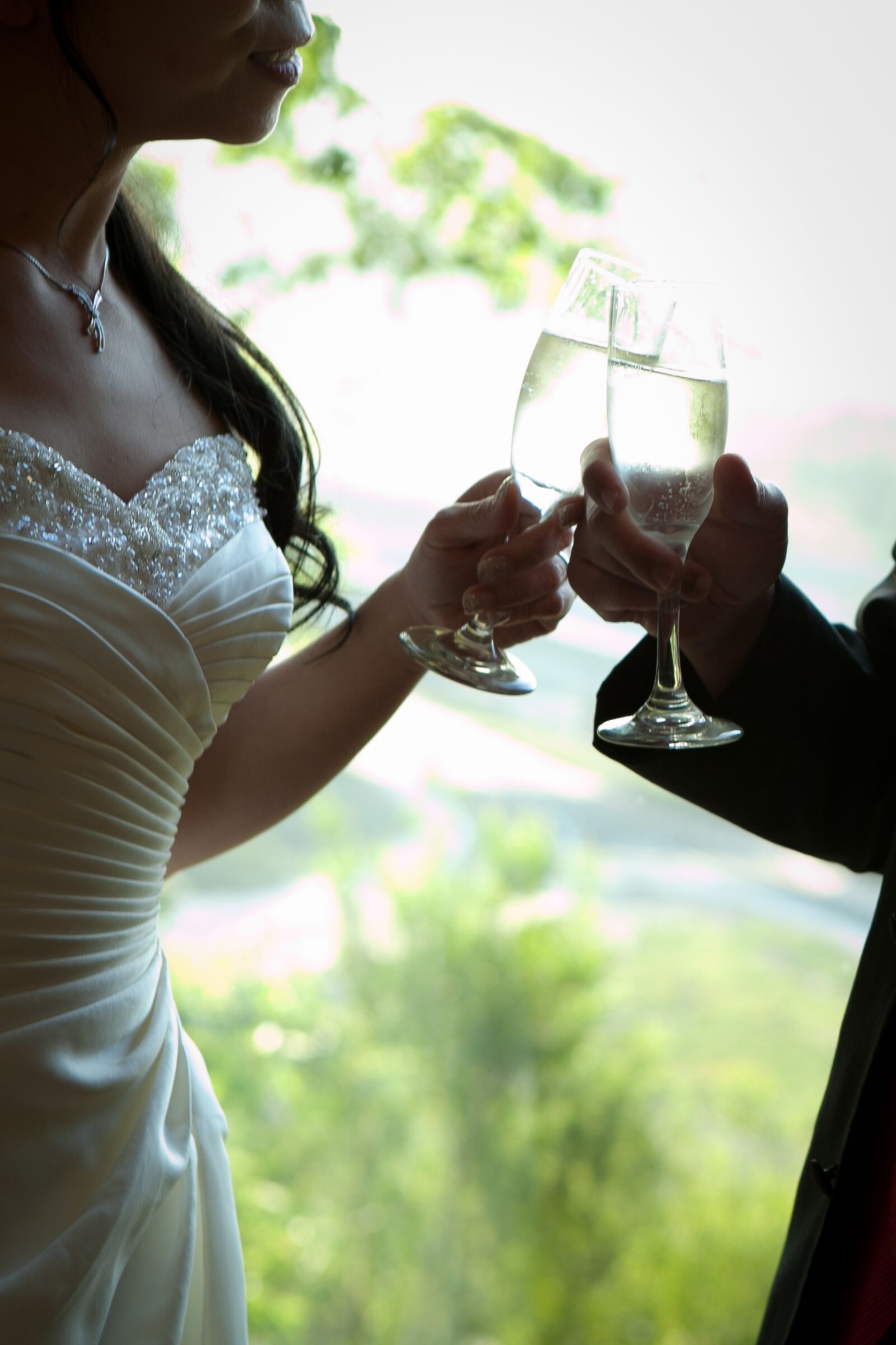 Canon EF 24-70mm F2.8L USM sample photo. Wedding, cheers, bride photography