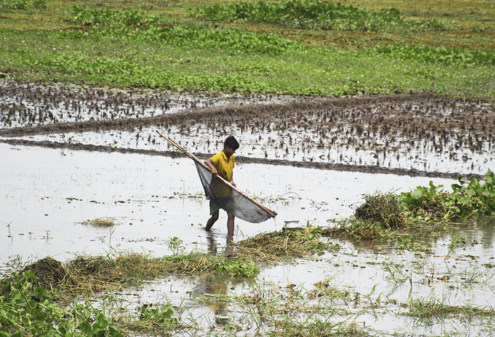Nikon D5300 sample photo. Bangladesh fishing, little boy photography