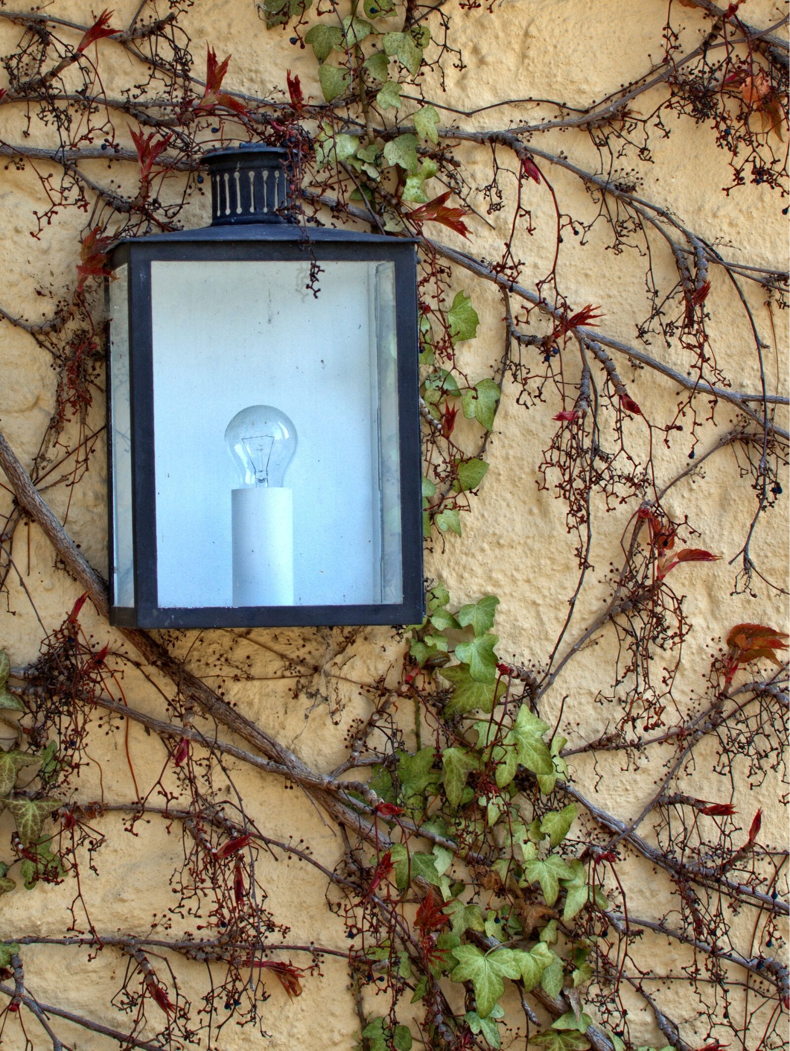 Nikon D7100 sample photo. Lamp, light, wall photography