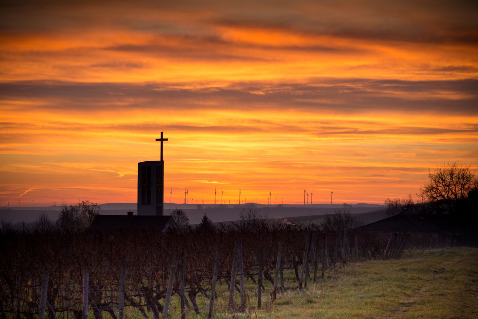 Nikon D7200 sample photo. Rheinhessen, sunrise, hack home photography