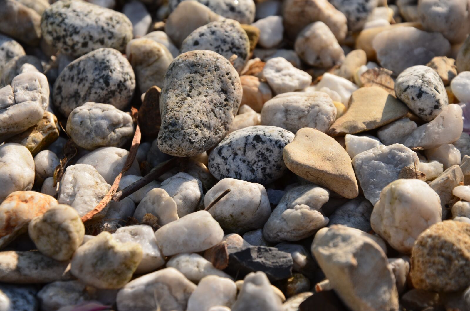 Nikon D5100 sample photo. Stones, nature, pebbles photography