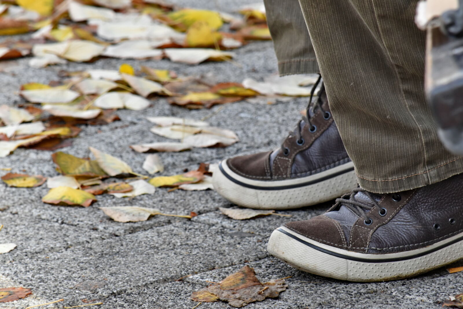 Nikon D5500 sample photo. Autumn season, brown, footwear photography