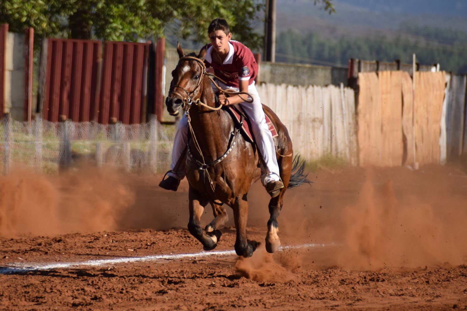 Nikon D5300 sample photo. Horse, knight, equine photography