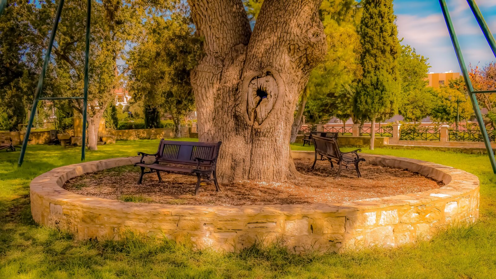 Nikon D3300 sample photo. Benches, tree, park photography