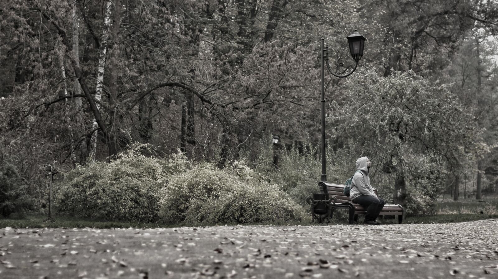 Canon EOS 600D (Rebel EOS T3i / EOS Kiss X5) + Canon EF 50mm F1.8 II sample photo. Ukraine, park, only photography