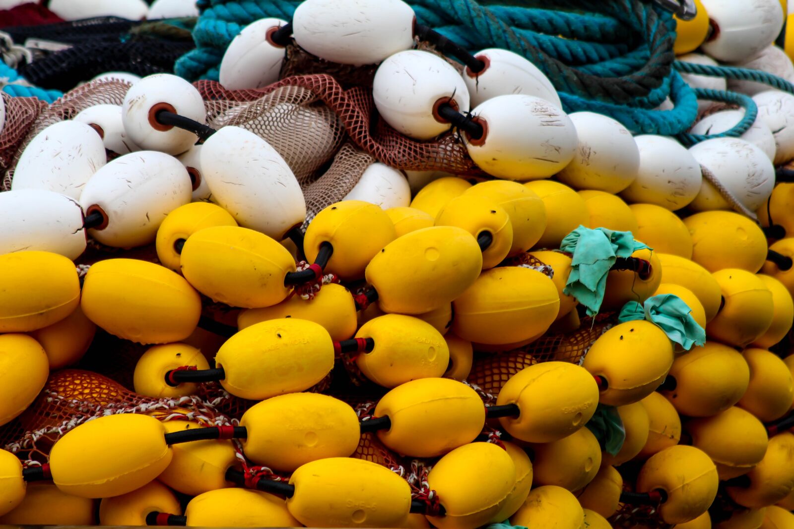 Canon EOS 650D (EOS Rebel T4i / EOS Kiss X6i) sample photo. The buoys, fishing, karabl photography