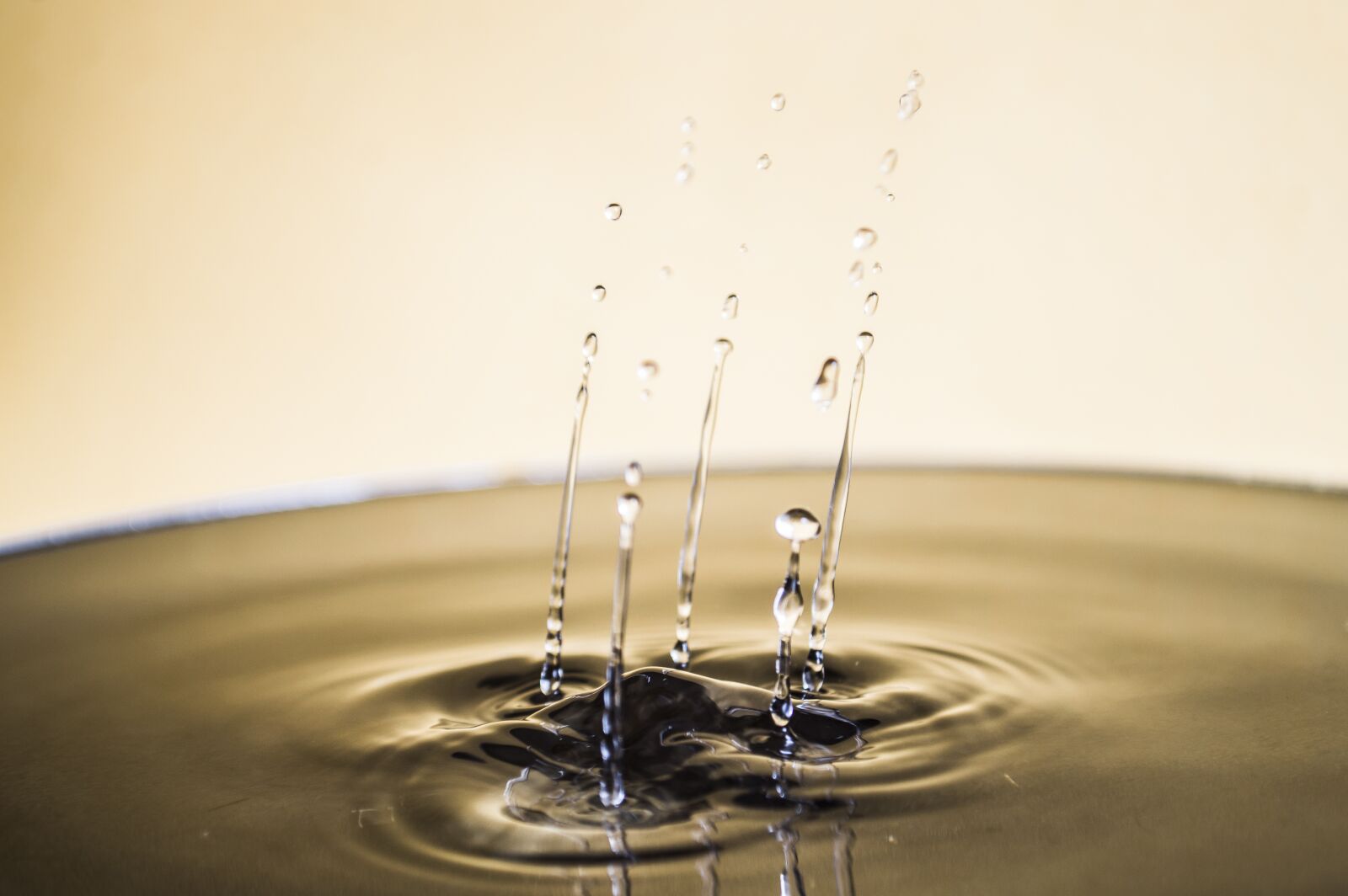 Nikon D3200 sample photo. Water, water drop, silver photography