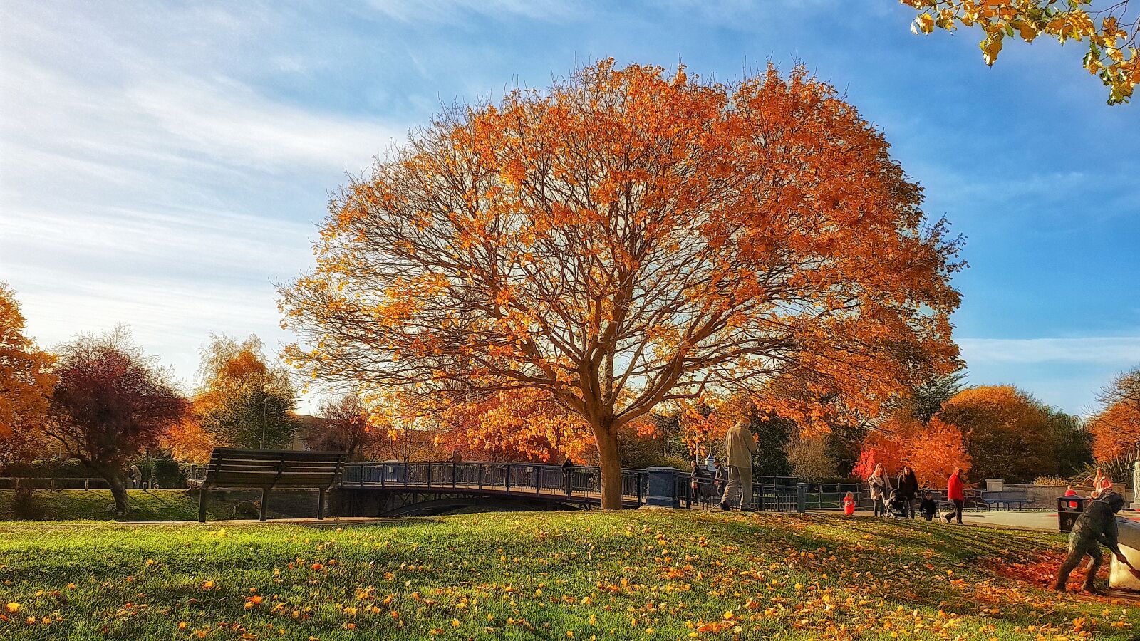 Samsung Galaxy S9+ sample photo. Park, tree, autumn photography