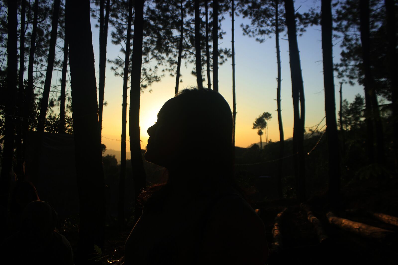Canon EOS 600D (Rebel EOS T3i / EOS Kiss X5) sample photo. Love, girl, outdoors photography